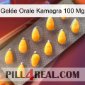 Gelée Orale Kamagra 100 Mg cialis1